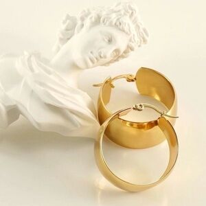Exaggerated French Style Rounded 18K Gold Plated Earrings